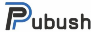 PUBUSH logo
