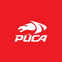 PUCA logo