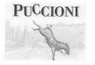 PUCCIONI logo