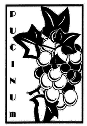 PUCINUM logo