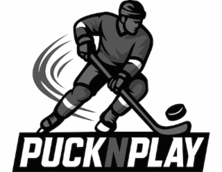 PUCKNPLAY logo