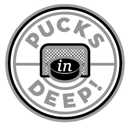 PUCKS IN DEEP! logo