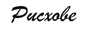 PUCXOBE logo
