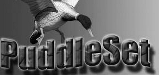 PUDDLESET logo