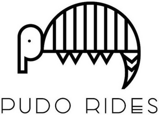 PUDO RIDES logo