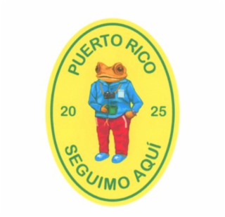 PUERTO RICO 20 25 SEGUIMO AQUÍ logo