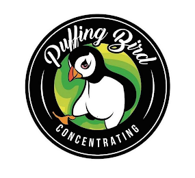 PUFFING BIRD CONCENTRATING logo