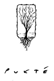 PUKTE logo
