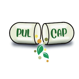 PUL CAP logo