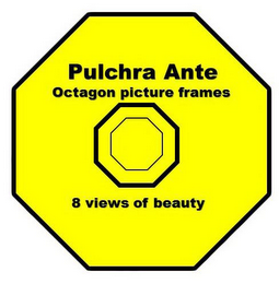 PULCHRA ANTE OCTAGON PICTURE FRAMES 8 VIEWS OF BEAUTY logo