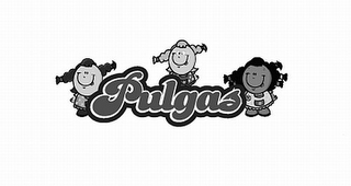 PULGAS logo