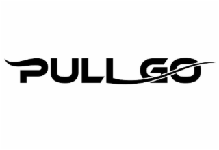 PULL GO logo