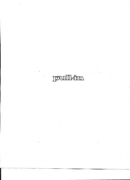 PULL-IN logo