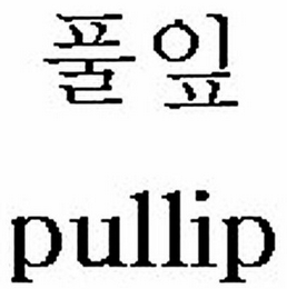 PULLIP logo