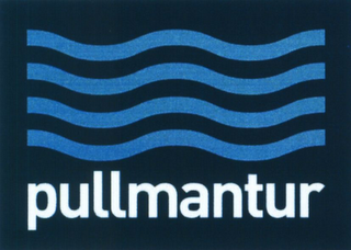 PULLMANTUR logo