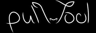 PULLWOOL logo