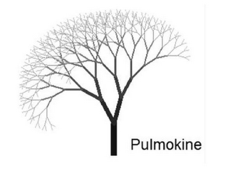 PULMOKINE logo