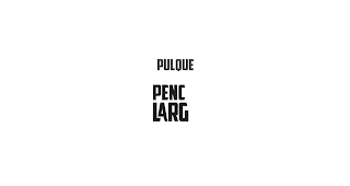 PULQUE PENC LARG logo