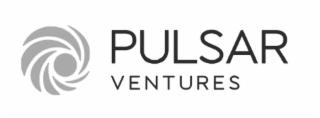 PULSAR VENTURES logo