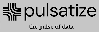PULSATIZE THE PULSE OF DATA logo