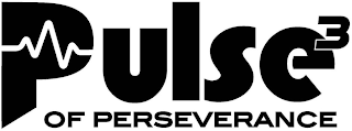 PULSE OF PERSEVERANCE 3 logo