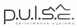 P.U.L.S.E. PERFORMANCE SYSTEMS logo