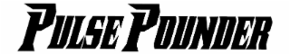 PULSE POUNDER logo
