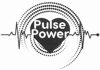 PULSE POWER logo