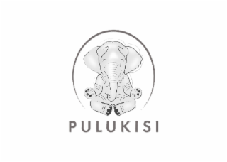 PULUKISI logo