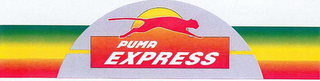 PUMA EXPRESS logo