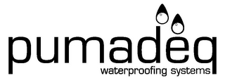 PUMADEQ WATERPROOFING SYSTEMS logo