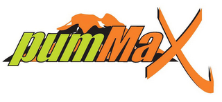 PUMMAX logo