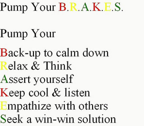 PUMP YOUR B.R.A.K.E.S. PUMP YOUR BACK-UP TO CALM DOWN RELAX & THINK ASSERT YOURSELF KEEP COOL & LISTEN EMPATHIZE WITH OTHERS SEEK A WIN-WIN SOLUTION logo