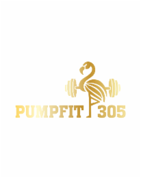 PUMPFIT 305 logo