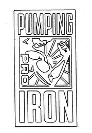 PUMPING IRON PRO logo
