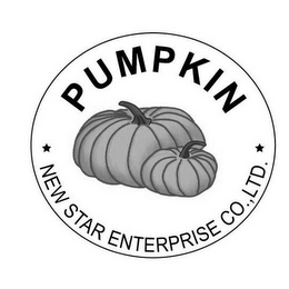 PUMPKIN NEW STAR ENTERPRISE CO LTD logo