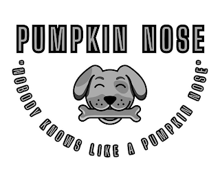 PUMPKIN NOSE "NOBODY KNOWS LIKE A PUMPKIN NOSE" logo