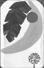 PUMPKIN TREE logo