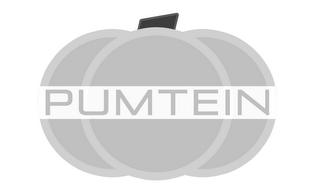 PUMTEIN logo