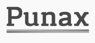 PUNAX logo