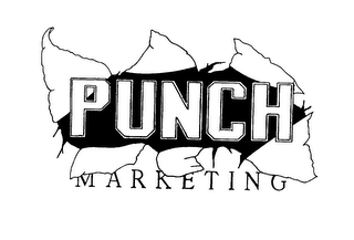 PUNCH MARKETING logo