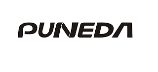 PUNEDA logo