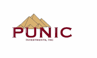 PUNIC INVESTMENTS, INC logo