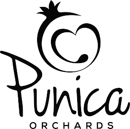 PUNICA ORCHARDS logo