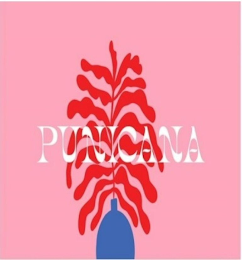 PUNICANA logo