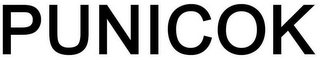 PUNICOK logo