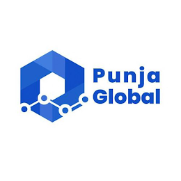 PUNJA GLOBAL logo