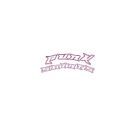 PUNK SAINTS logo