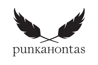 PUNKAHONTAS logo