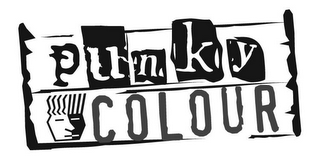 PUNKY COLOUR logo
